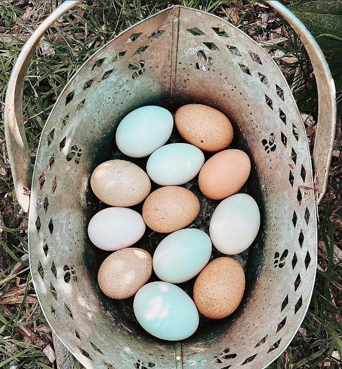 eggs in basket.jpg
